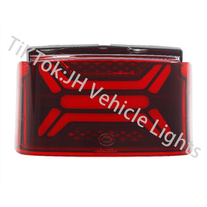 WY trademark taillights -Wuyang style